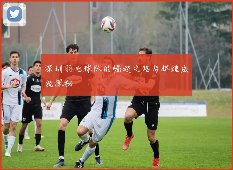 深圳羽毛球队的崛起之路与辉煌成就探秘