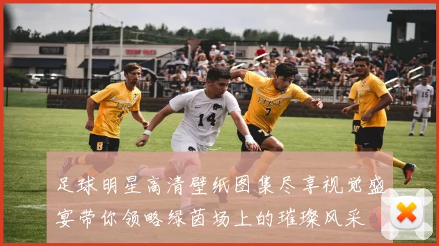 足球明星高清壁纸图集尽享视觉盛宴带你领略绿茵场上的璀璨风采