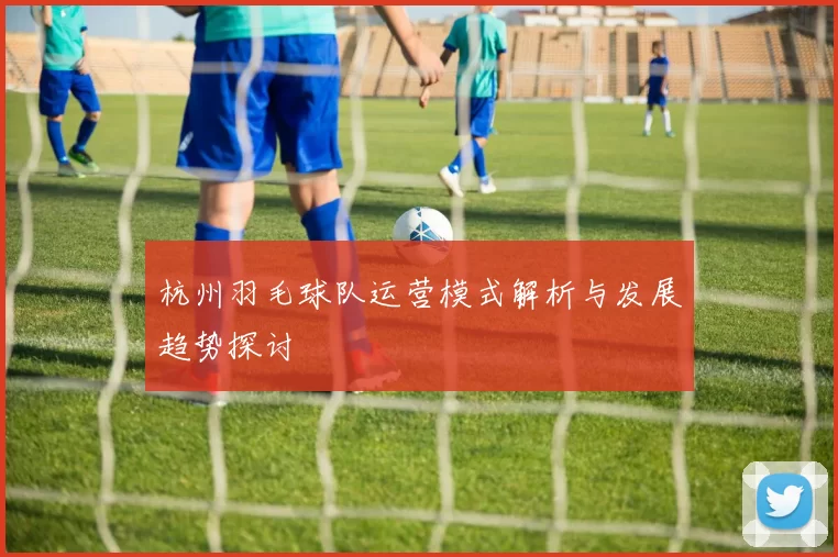 杭州羽毛球队运营模式解析与发展趋势探讨